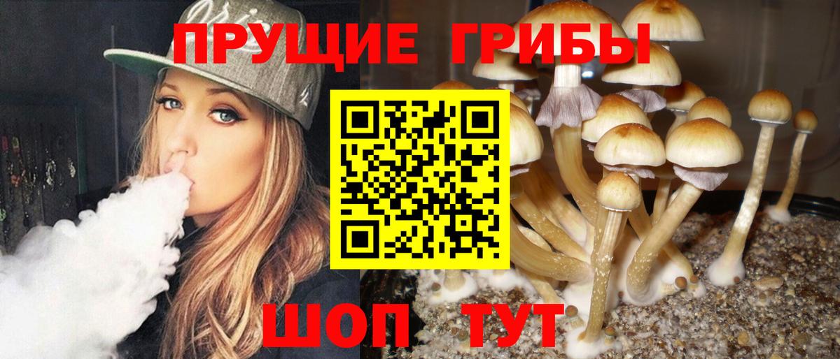 Псилоцибиновые грибы ЛСД Реж
